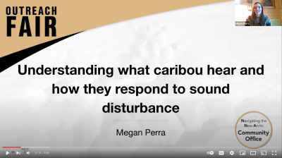 Understanding what caribou hear and how they respond to sound disturbance