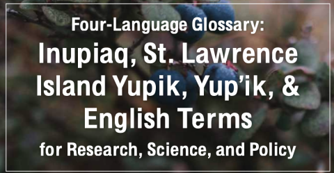Four Language Glossary