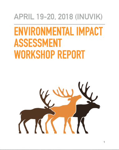 Env. Impact Assessment