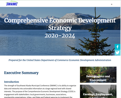 Comprehensive Economic Development Strategy